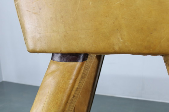 Image 1 of Tsjechoslowaaks turnpaard van leer en hout uit de jaren 50, in hoogte verstelbaar