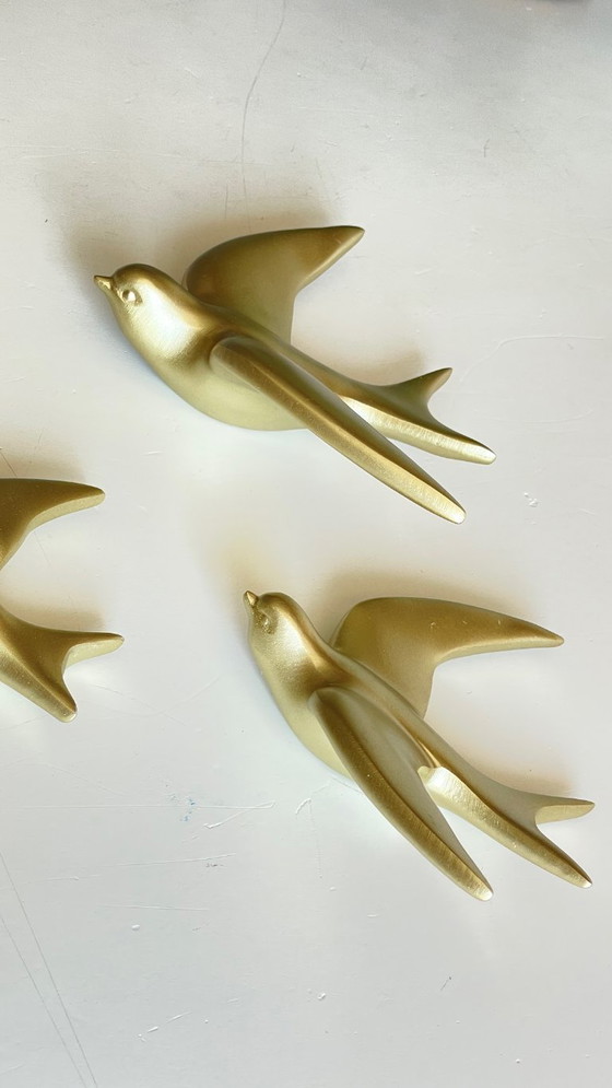 Image 1 of Hirondelles dorées