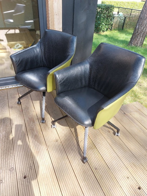 6 Leolux dining chairs