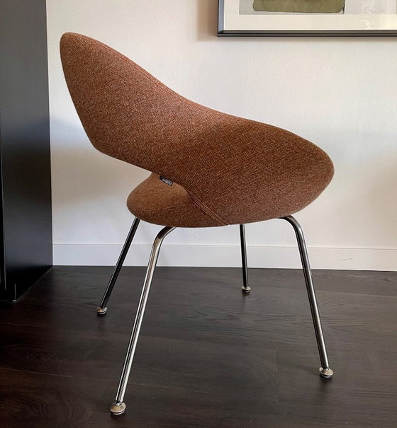 Image 1 of 4x Artifort Shark eetkamer stoelen