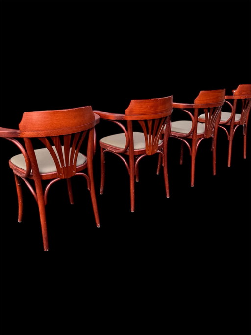 Raro set di 4 sedie Thonet Bentwoud di metà secolo