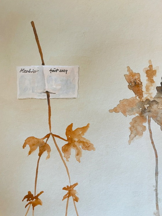 Image 1 of Signed watercolor painting from the Herbiers collection in trompe l'oeil