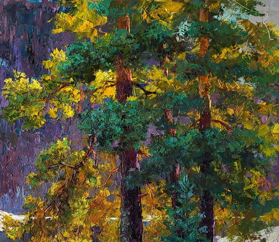 Original Oil Painting Winter Forest Landscape It Snowed in the Mountains – Paintings & Drawings, Canvas (photo 6 of 8)