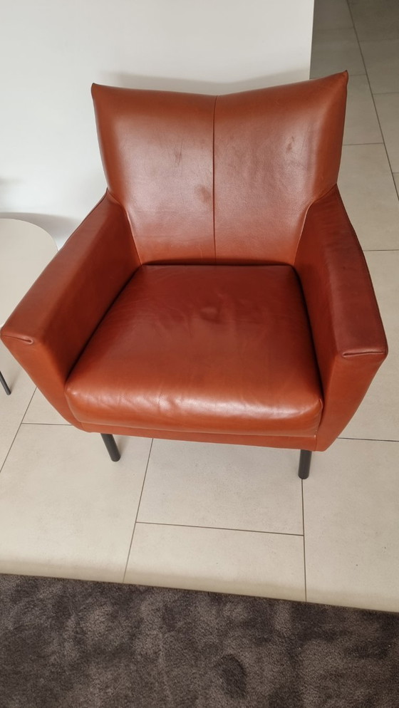 Image 1 of 2x Fauteuil Design auf Lager - Modell Toma - Cognac