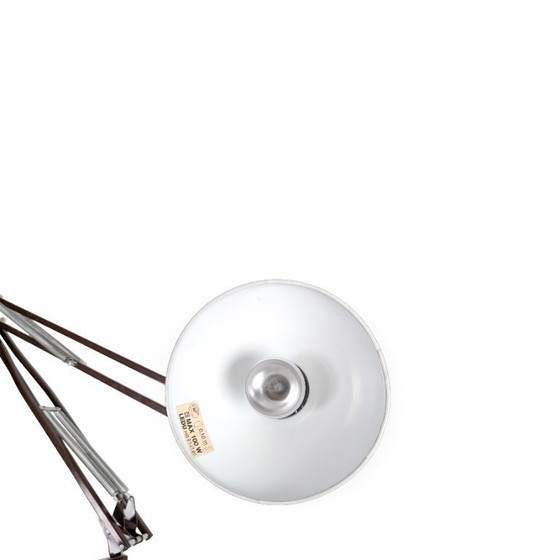 Image 1 of Original Ledu Type 231 table lamp, architect's lamp, clamp lamp