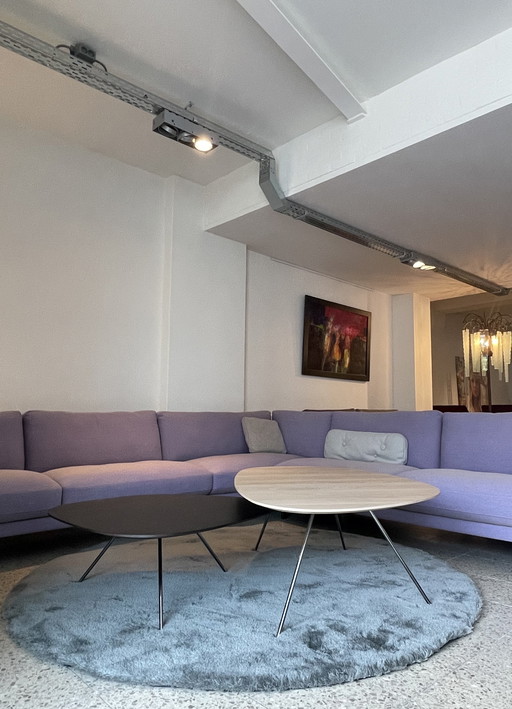 Leolux Liliom Couchtisch-Set XL-4 Ecke