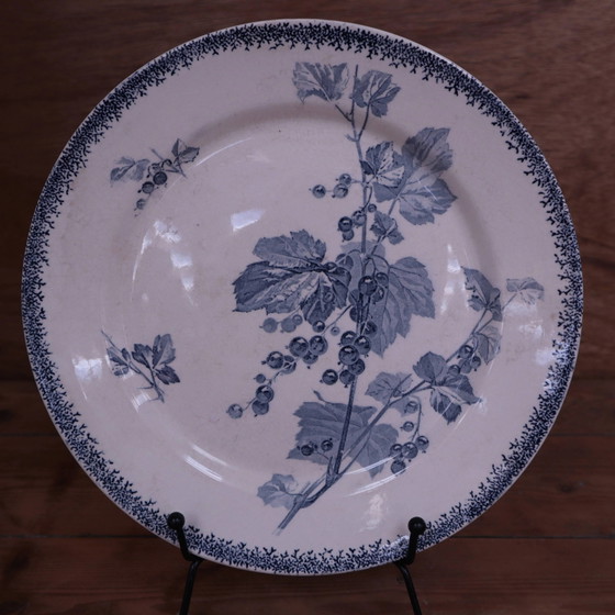 Piatto antico U & C Sarreguemines modello Currants – Stoviglie, Porcelain, Vintage (photo 7 of 7)