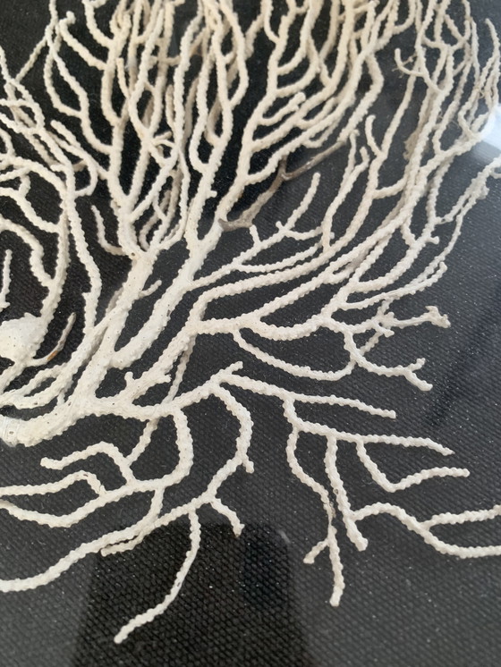 Image 1 of Cadres décoratifs anciens dorés (avant 1975)