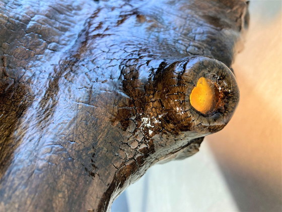 Image 1 of Artikel 202300