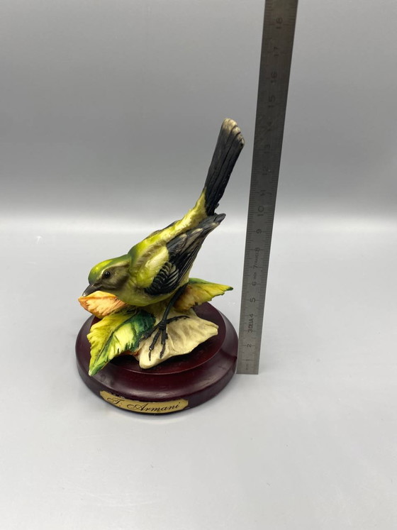 Kunstharz-Figur der Kohlmeise – Signiert Armani – Mahagoni-Sockel – Florence Sculture d’Arte – Italien, ca. (photo 4 of 4)