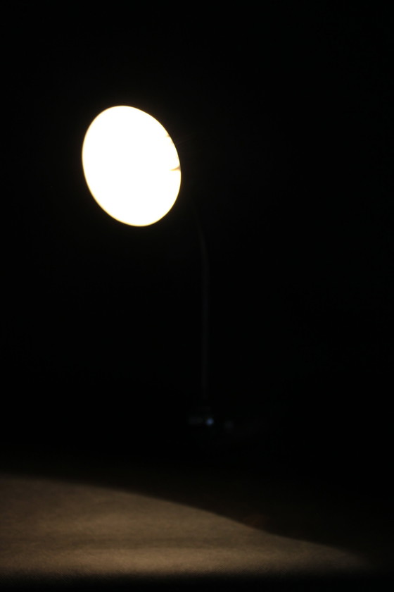 Image 1 of 1950s Italian Table Lamp by Lariolux