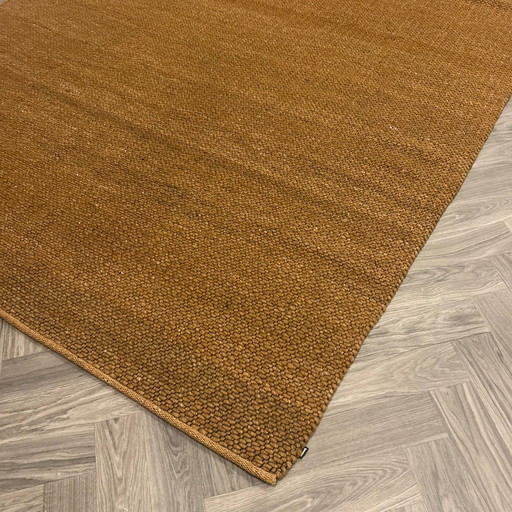 Montel Collier Gold rug - 240x340