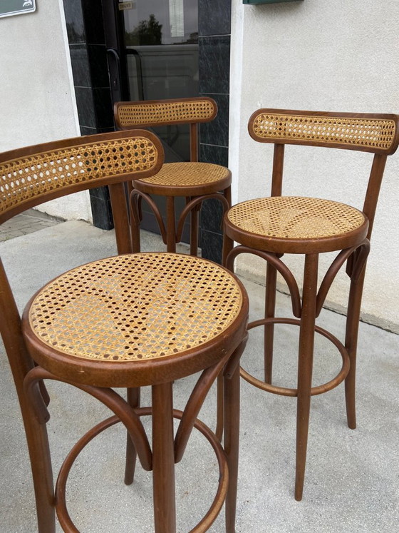 Juego de 3 sillas de madera curvada y mimbre, estilo Thonet italiano de mediados de siglo. – Asslegno (photo 6 of 8)