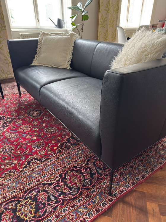 Image 1 of Walter Knoll Jaan 780 Garnitur - vier neuwertige Möbelstücke