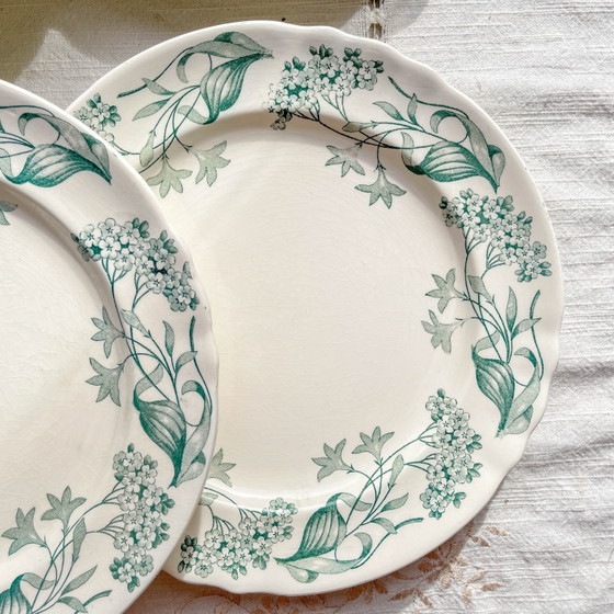 Set di 6 Piatti Piani Antichi in Ironstone "Lilac" – Longchamp XIX Secolo – Stoviglie, Vintage (photo 5 of 14)