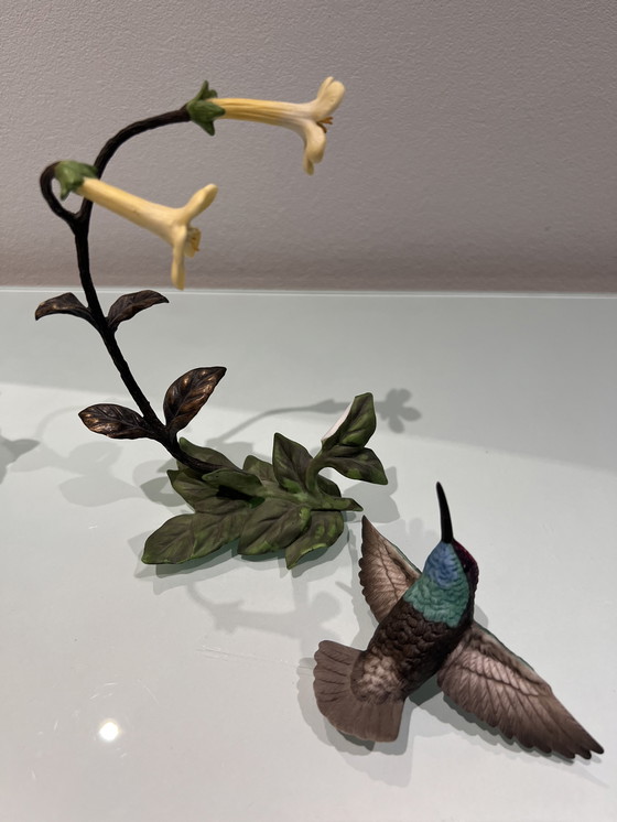 Image 1 of Alan Singer Franklin Kolibri / Hummingbird Porzellan