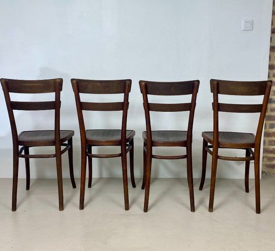 Image 1 of Juego de 4 sillas Thonet de madera de haya – Modelo n.º 651