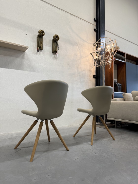 Image 1 of 2 Tonon Concept 902 11 Sedie Soft Touch