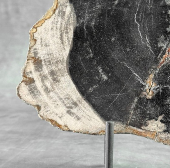 Image 1 of Bois fossilisé – Plaque en bois pétrifié avec un support sur mesure.