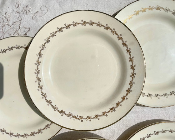 6 Platos DIGOIN SUZY de Porcelana Opaca – Loza (photo 8 of 10)