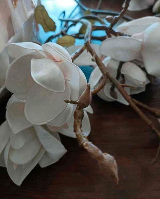 Image 1 of 1 jarrón de concha ovalada y 2 jarrones de concha de nácar con cuencos rotos