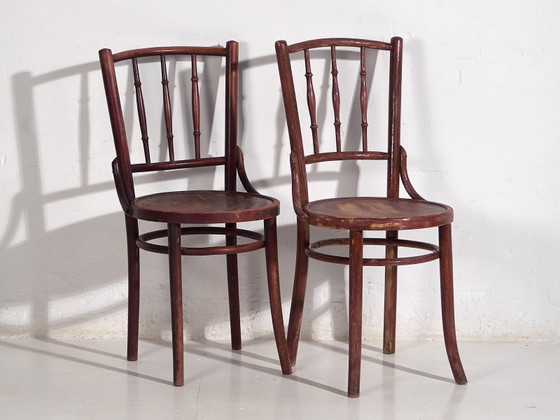 Sedie da pranzo Thonet antiche colorate (c.1920). Set di 4 pezzi #2 (photo 28 of 40)