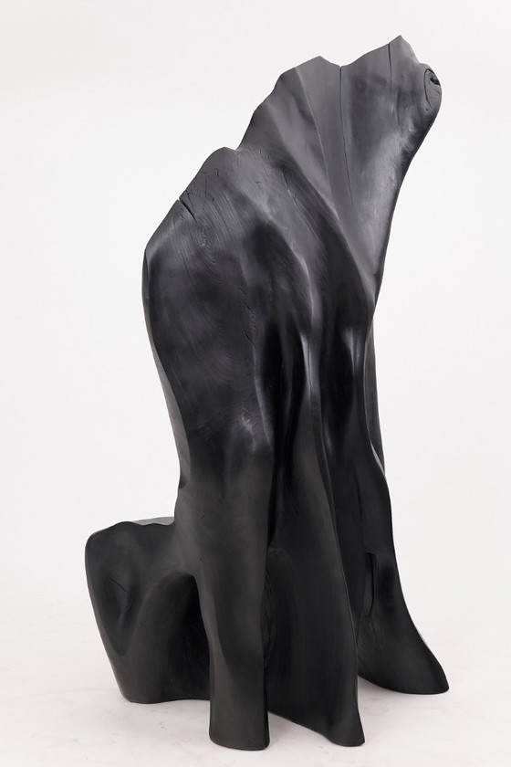Image 1 of Fauteuil trône en bois noir carbonisé aux formes organiques par Logniture