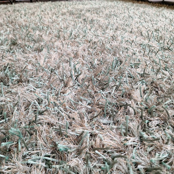 Image 1 of Brinker Carpets Trend 314 rug - 200x250