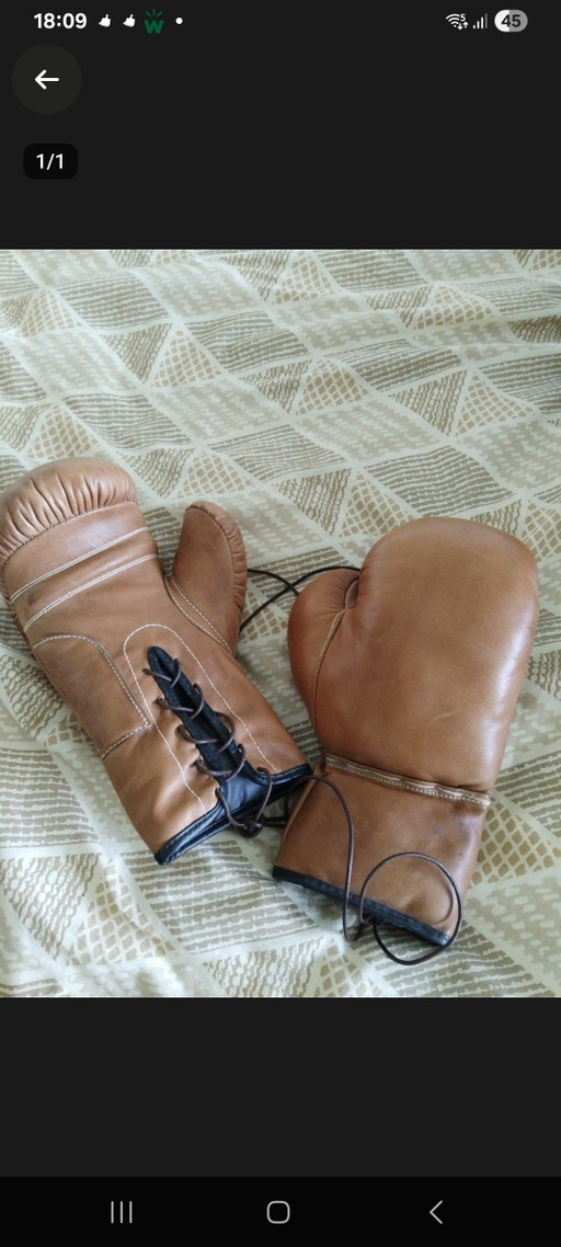 Gants de Boxe en Cuir