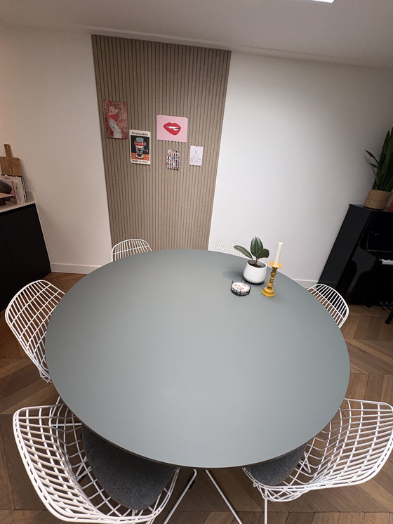 Image 1 of Odesi Belly table limited edition verde commodoro, 150cm