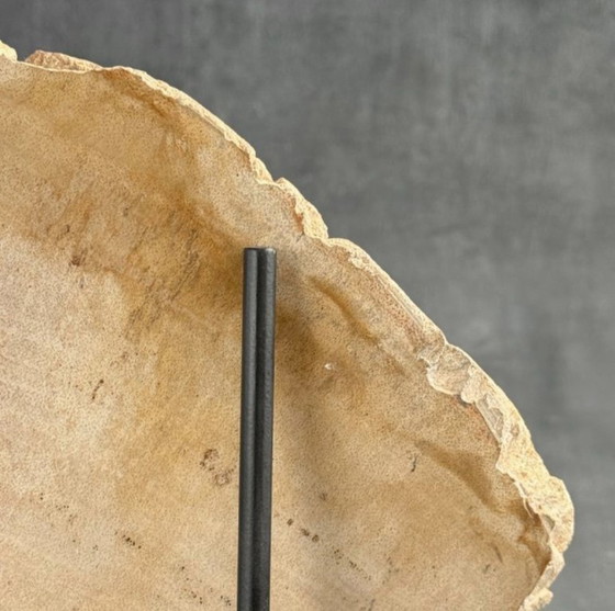 Image 1 of Madera fosilizada de Sooka, soporte hecho a medida (nuevo)