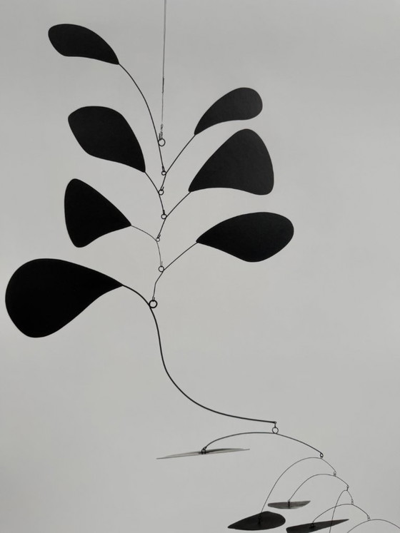 Alexander Calder (1898-1976), Skogen är det bästa stället, 1945, Copyright Calder Foundation, New York/ARS, (photo 10 of 10)