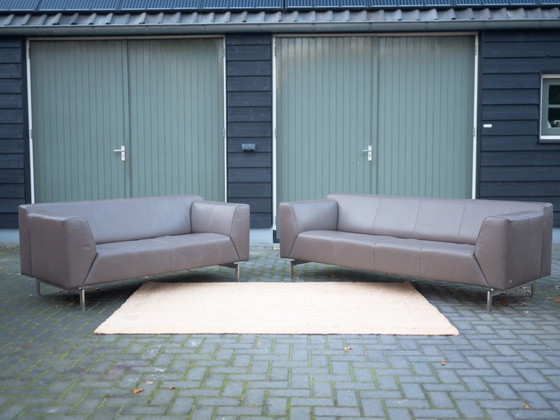 Image 1 of Rolf Benz Linea 318 | Divano di design in pelle a 3 posti | Pelle