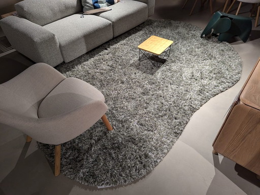 Millenerpoort Eterno 60 Plus Teppich – 225 x 315