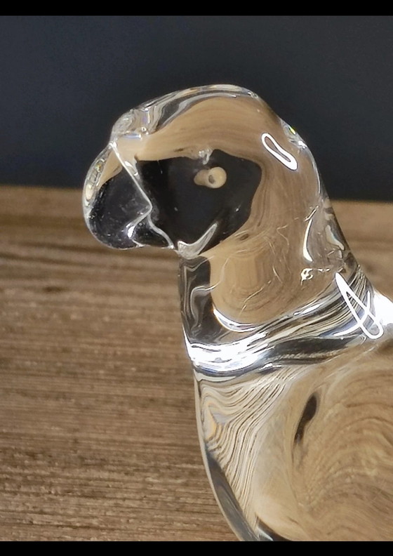 Image 1 of Perruche Baccarat