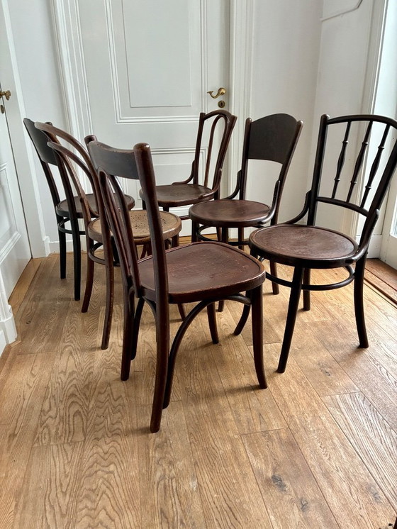 Image 1 of 6 sillas de comedor Thonet Mix-Match.