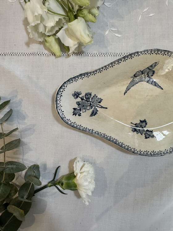 Image 1 of Longwy titmouse ravine