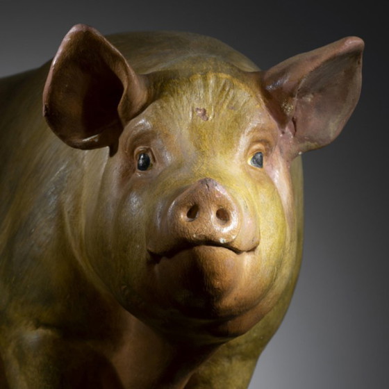Image 1 of Varkensmodel, Max Landsberg, 1889, Duitsland