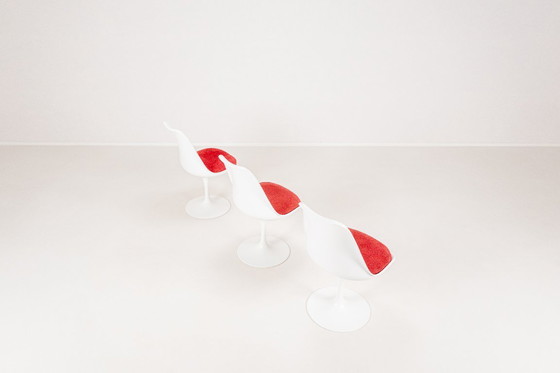 Image 1 of Set of 6 Tulip Dining Chairs by Maurice Burke for Arkana, England, 1960s