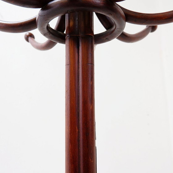 Image 1 of Grote kapstok van gebogen hout in de stijl van een papegaai, in de Thonet-uitvoering – begin 20e eeuw