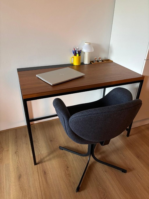 Vintage Pastoe Plato Schreibtisch