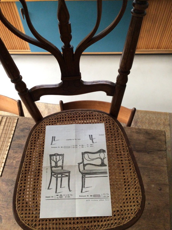 Image 1 of Sedia Thonet antica