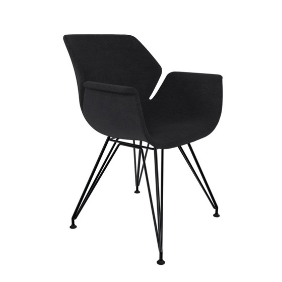 Image 1 of TOOON. Sedia da pranzo Lux Beluga Iron