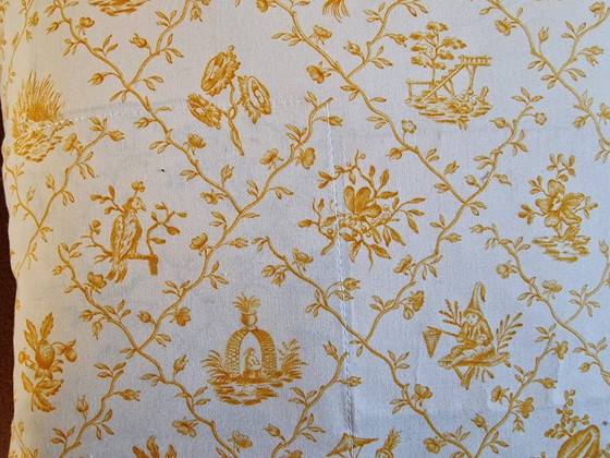 Image 1 of 2 Throwing pillows Toile de Jouy