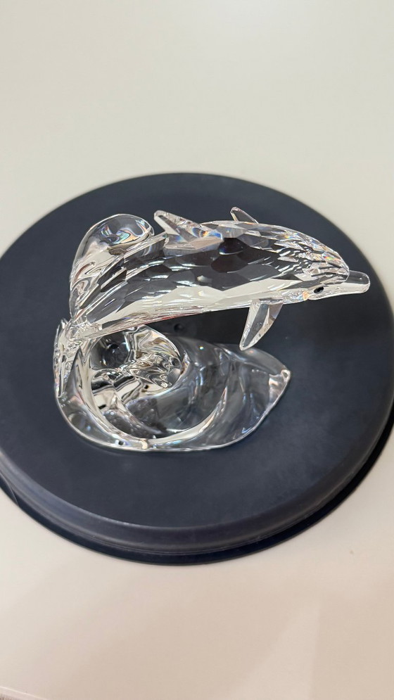 Image 1 of Swarovski "Dolphin on a Wave" con scatola (190365, Collezione "South Sea") - "Dolphin on a Wave" / "Dauphin sur une vague"