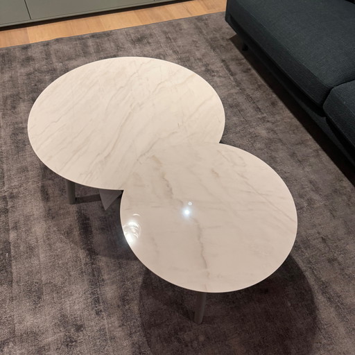 Leolux Rolan salontafel (set van 2)