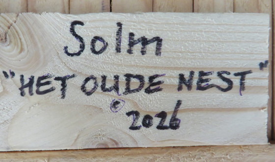 Image 1 of Eric van Solm – „Das alte Nest“