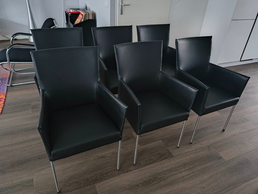 6 x Bert Plantagie Amber in pelle nera