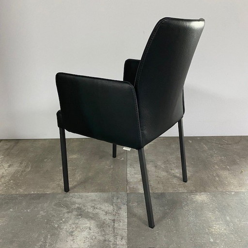 Juego de 6 sillas Ultimo – Bert Plantagie, eetkamerstoelen, Leather, Calfskin (photo 2 of 5)