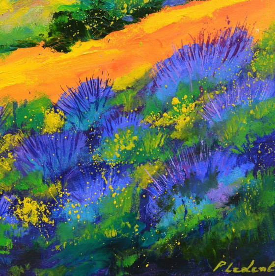 Image 1 of Summer in Provence 